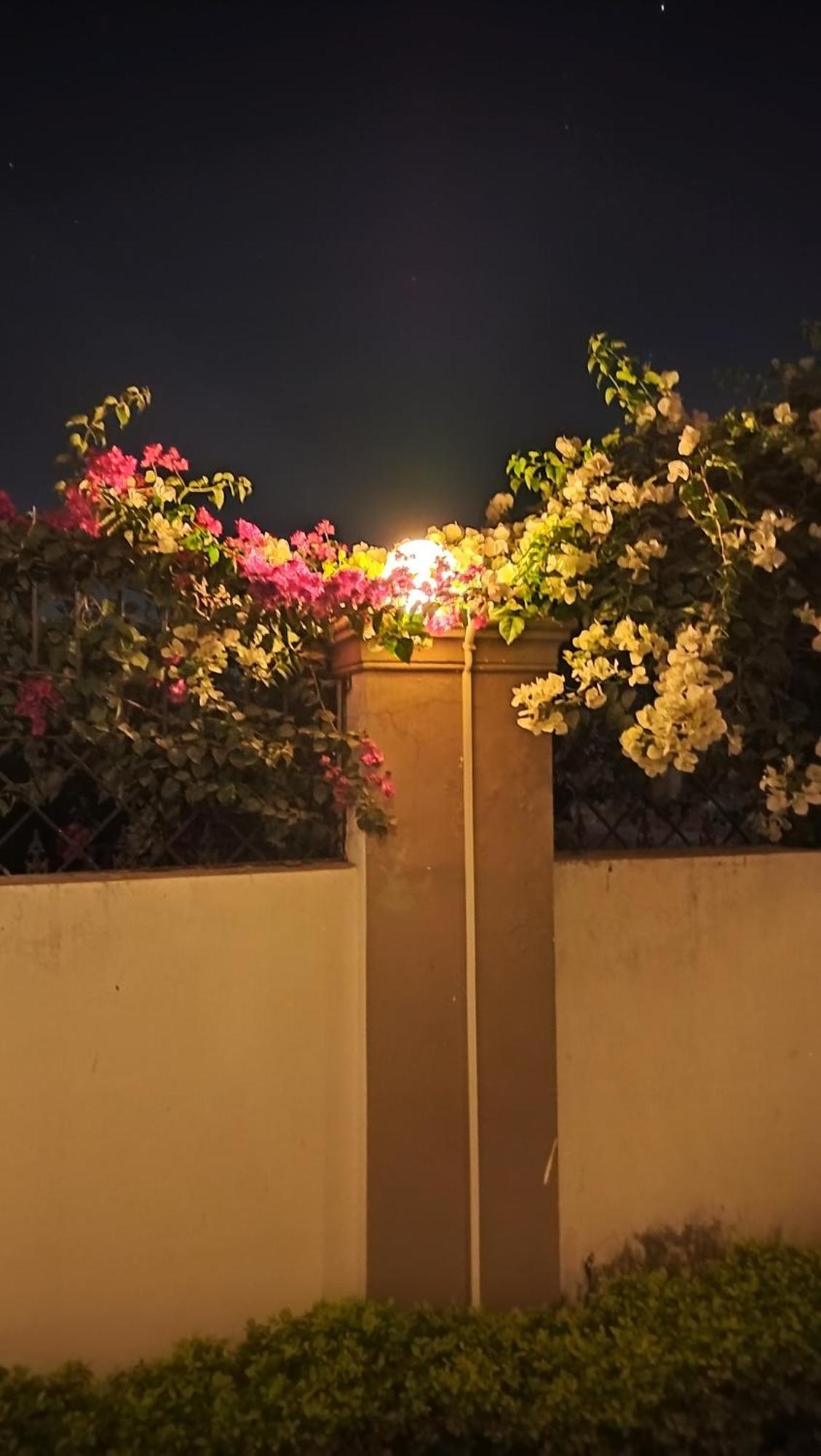 Shree Nanda Guest House Benares Buitenkant foto